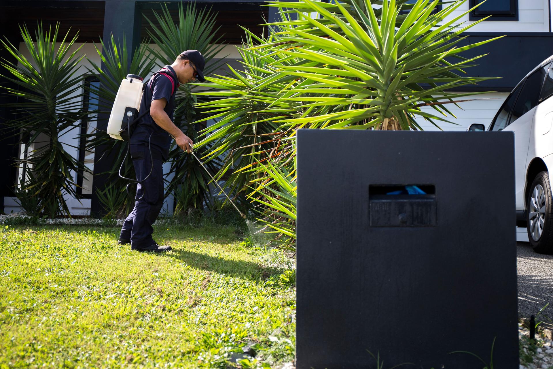 Pest Control Worker Spraying Wasp Nests 